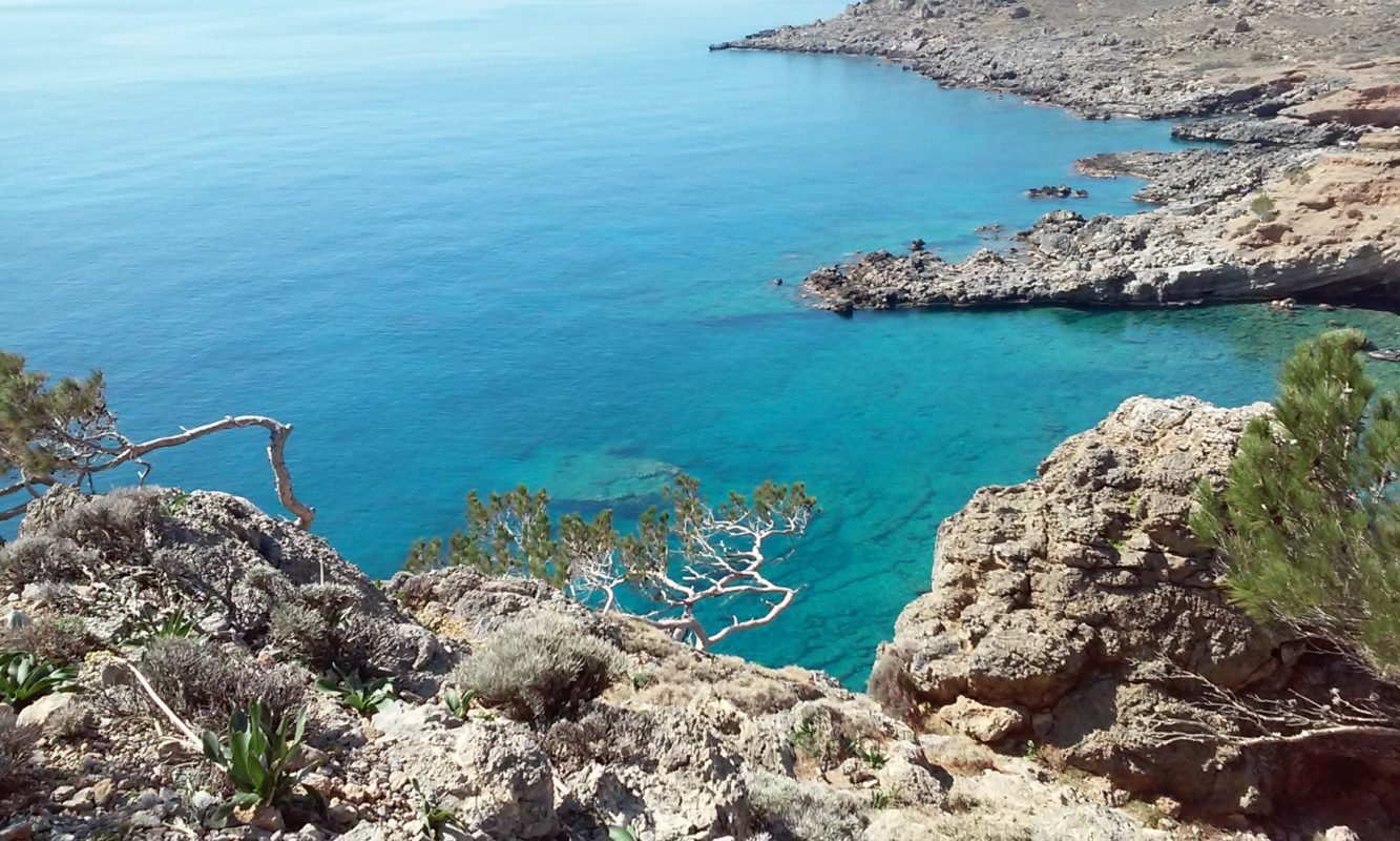 TRIPITI-8-1333x800-2